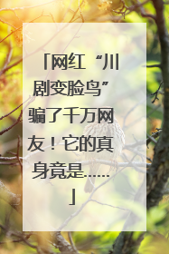 网红“川剧变脸鸟”骗了千万网友！它的真身竟是……