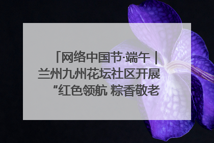 网络中国节·端午｜兰州九州花坛社区开展“红色领航 粽香敬老”端午主题活动