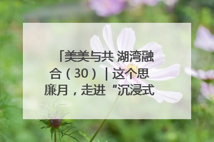 美美与共 湖湾融合（30）｜这个思廉月，走进“沉浸式”清风课堂