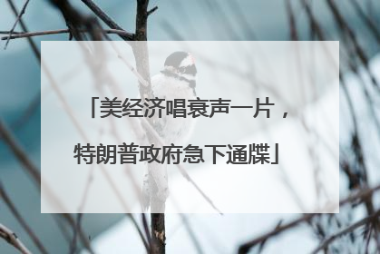 美经济唱衰声一片，特朗普政府急下通牒