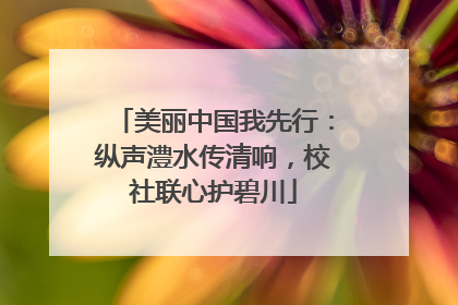 美丽中国我先行：纵声澧水传清响，校社联心护碧川