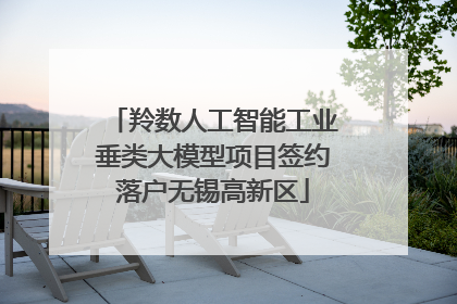 羚数人工智能工业垂类大模型项目签约落户无锡高新区