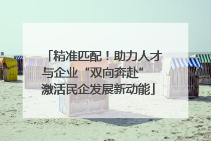精准匹配！助力人才与企业“双向奔赴” 激活民企发展新动能