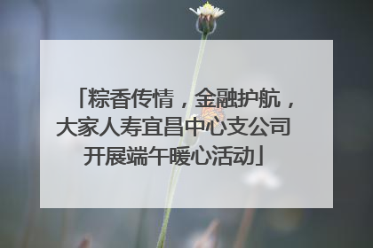 粽香传情，金融护航，大家人寿宜昌中心支公司开展端午暖心活动