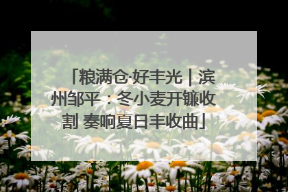 粮满仓·好丰光｜滨州邹平：冬小麦开镰收割 奏响夏日丰收曲