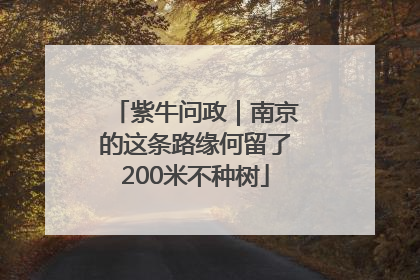 紫牛问政｜南京的这条路缘何留了200米不种树