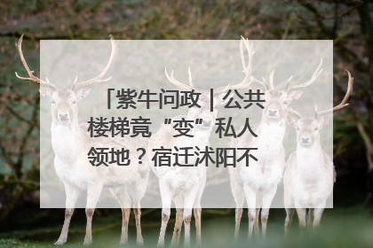紫牛问政｜公共楼梯竟“变”私人领地？宿迁沭阳不动产登记引质疑