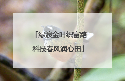 绿浪金叶织富路 科技春风润心田