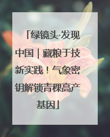 绿镜头·发现中国｜藏粮于技新实践！气象密钥解锁青稞高产基因