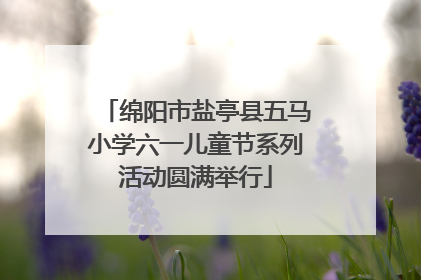 绵阳市盐亭县五马小学六一儿童节系列活动圆满举行