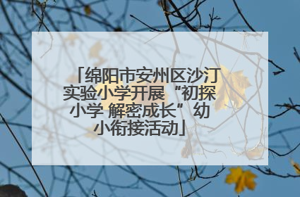 绵阳市安州区沙汀实验小学开展“初探小学 解密成长”幼小衔接活动