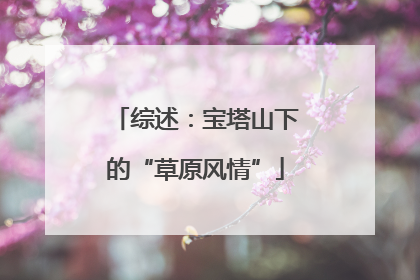 综述：宝塔山下的“草原风情”