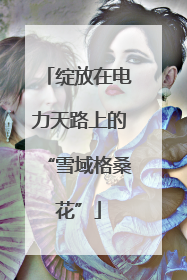 绽放在电力天路上的“雪域格桑花”