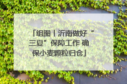 组图丨沂南做好“三夏”保障工作 确保小麦颗粒归仓
