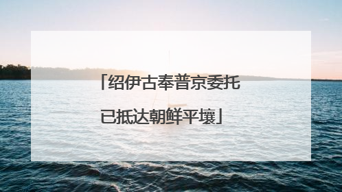 绍伊古奉普京委托已抵达朝鲜平壤