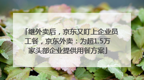 继外卖后，京东又盯上企业员工餐，京东外卖：为超1.5万家头部企业提供用餐方案