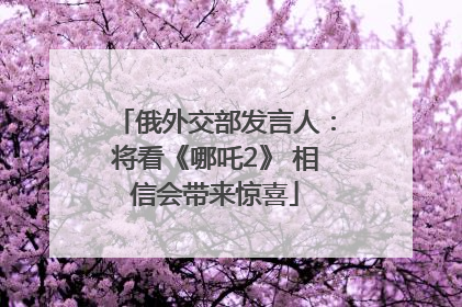 俄外交部发言人：将看《哪吒2》 相信会带来惊喜