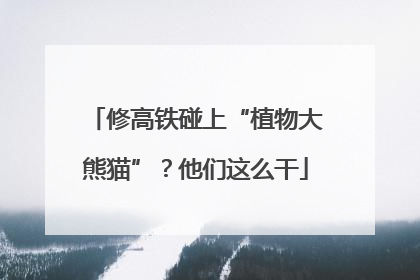 修高铁碰上“植物大熊猫”？他们这么干