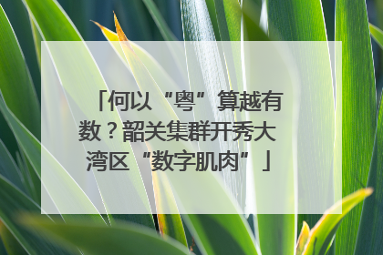 何以“粤”算越有数？韶关集群开秀大湾区“数字肌肉”