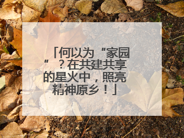 何以为“家园”？在共建共享的星火中，照亮精神原乡！