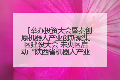 举办投资大会暨秦创原机器人产业创新聚集区建设大会 未央区启动“陕西省机器人产业聚集区”建设