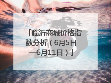 临沂商城价格指数分析（6月5日—6月11日）