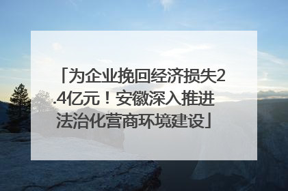为企业挽回经济损失2.4亿元！安徽深入推进法治化营商环境建设