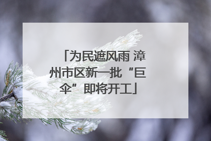 为民遮风雨 漳州市区新一批“巨伞”即将开工