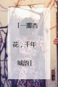 一瓣杏花，千年城韵
