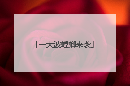 一大波螳螂来袭