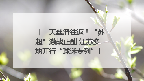 一天丝滑往返！“苏超”激战正酣 江苏多地开行“球迷专列”