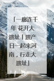 一廊连千年 花开大遗址丨遗产日一起来河南，行走大遗址
