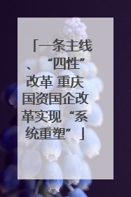 一条主线、“四性”改革 重庆国资国企改革实现“系统重塑”