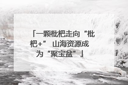 一颗枇杷走向“枇杷+” 山海资源成为“聚宝盆”