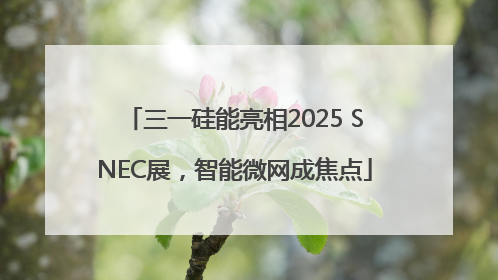 三一硅能亮相2025 SNEC展，智能微网成焦点