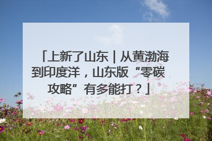 上新了山东｜从黄渤海到印度洋，山东版“零碳攻略”有多能打？