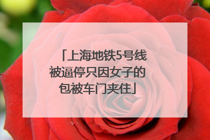 上海地铁5号线被逼停只因女子的包被车门夹住
