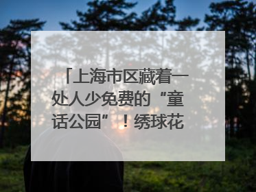 上海市区藏着一处人少免费的“童话公园”！绣球花海、金色秘境……地铁直达→
