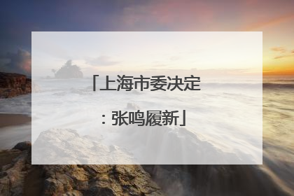 上海市委决定：张鸣履新