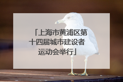 上海市黄浦区第十四届城市建设者运动会举行