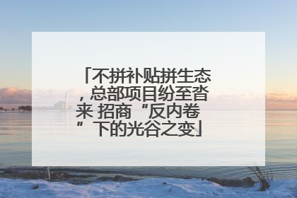 不拼补贴拼生态，总部项目纷至沓来 招商“反内卷”下的光谷之变
