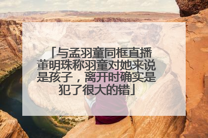 与孟羽童同框直播 董明珠称羽童对她来说是孩子，离开时确实是犯了很大的错