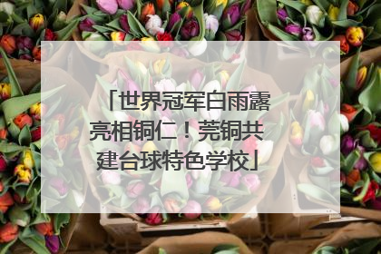 世界冠军白雨露亮相铜仁！莞铜共建台球特色学校