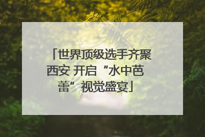 世界顶级选手齐聚西安 开启“水中芭蕾”视觉盛宴