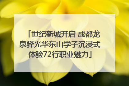 世纪新城开启 成都龙泉驿光华东山学子沉浸式体验72行职业魅力