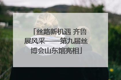 丝路新机遇 齐鲁展风采——第九届丝博会山东馆亮相
