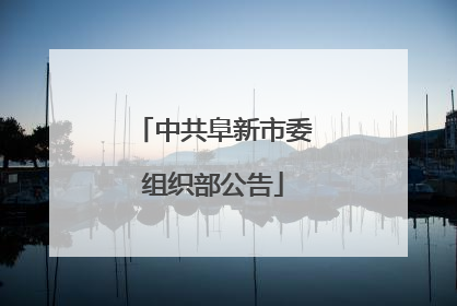 中共阜新市委组织部公告