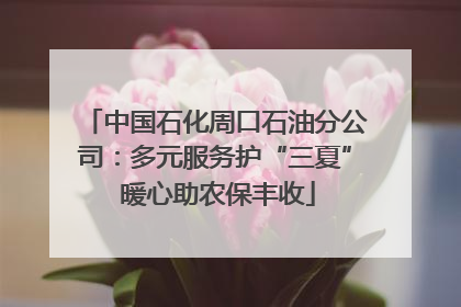 中国石化周口石油分公司：多元服务护“三夏” 暖心助农保丰收