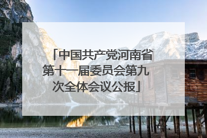 中国共产党河南省第十一届委员会第九次全体会议公报