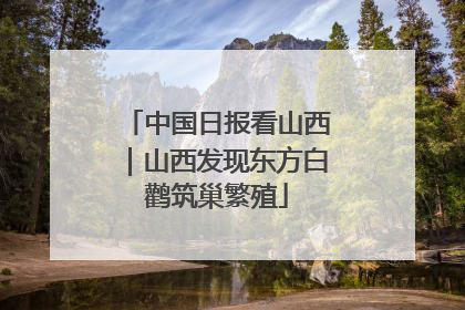 中国日报看山西｜山西发现东方白鹳筑巢繁殖